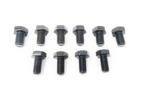 Set of 10 hex head cap screws